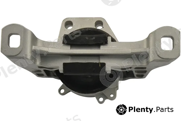 Kavo Parts EEM-4589 — Mounting, engine