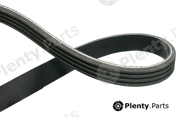 Kavo Parts DMV-9118 — V-Ribbed Belt