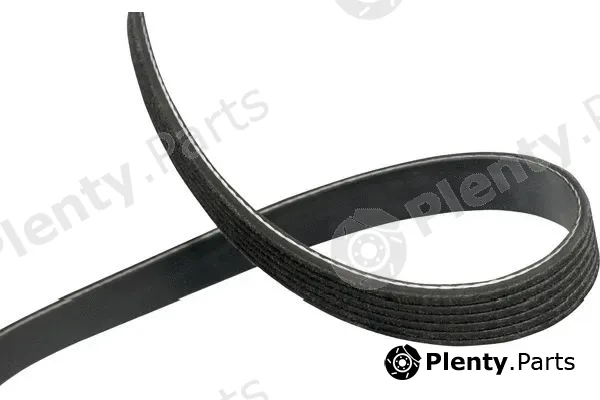 Kavo Parts DMV-4550 — V-Ribbed Belt