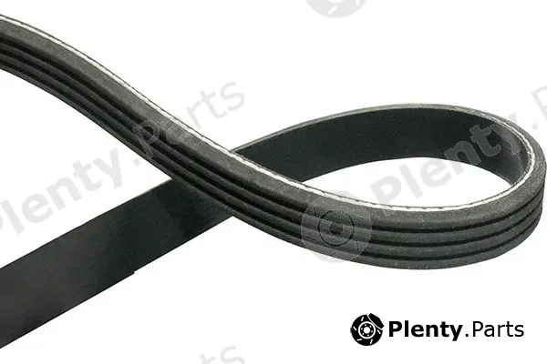 Kavo Parts DMV-4515 — V-Ribbed Belt