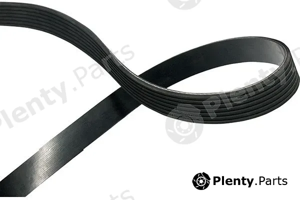 Kavo Parts DMV-2071 — V-Ribbed Belt