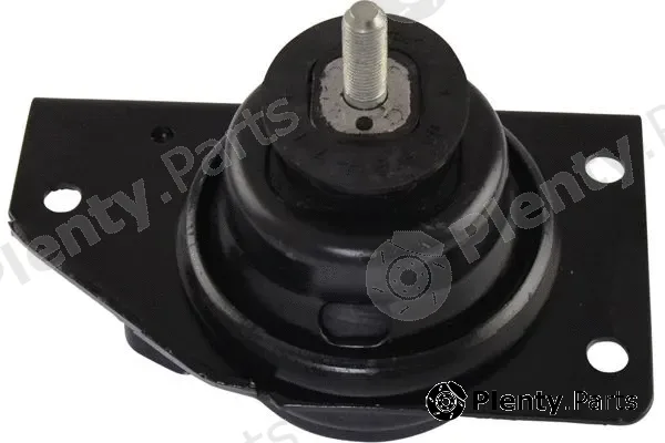 Kavo Parts EEM-4032 — Mounting, engine