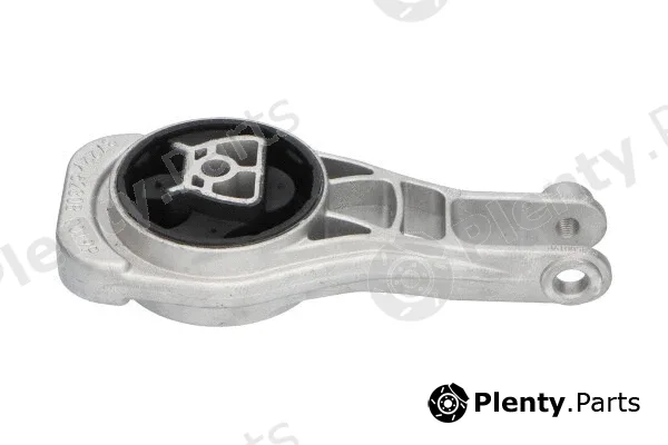 Kavo Parts EEM-1071 — Mounting, engine