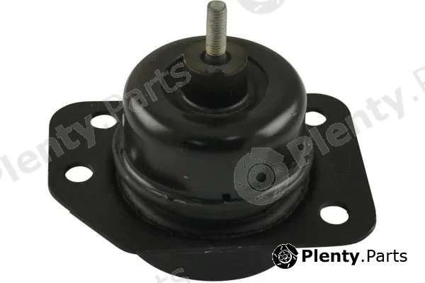 Kavo Parts EEM-1014 — Mounting, engine