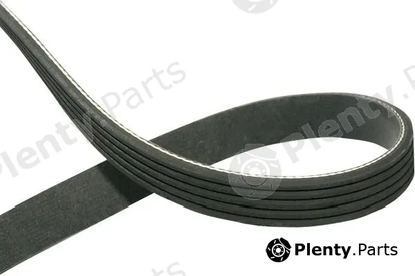 Kavo Parts DMV-5540 — V-Ribbed Belt