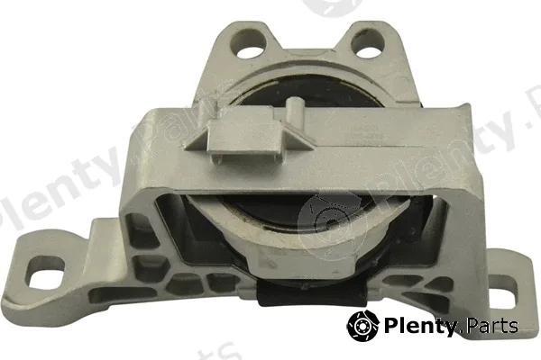 Kavo Parts EEM-4538 — Mounting, engine