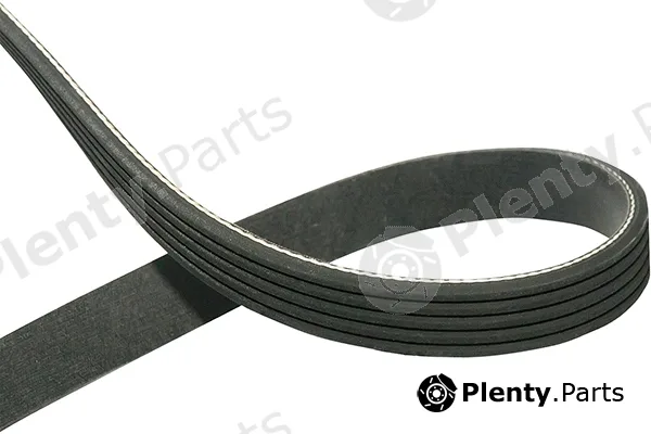 Kavo Parts DMV-5551 — V-Ribbed Belt