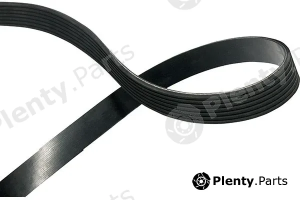 Kavo Parts DMV-9036 — V-Ribbed Belt