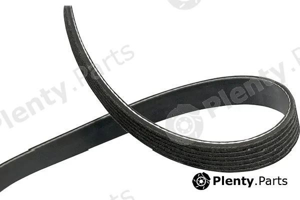 Kavo Parts DMV-1539 — V-Ribbed Belt