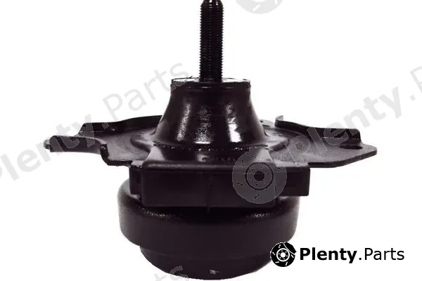 Kavo Parts EEM-2064 — Mounting, engine