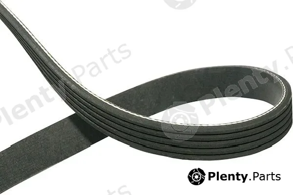 Kavo Parts DMV-1011 — V-Ribbed Belt