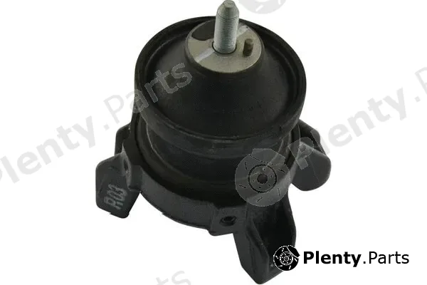 Kavo Parts EEM-3055 — Mounting, engine