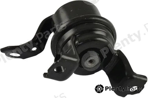 Kavo Parts EEM-9137 — Mounting, engine