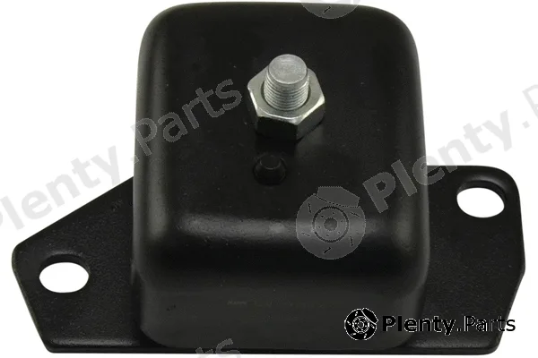 Kavo Parts EEM-1504 — Mounting, engine