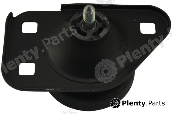 Kavo Parts EEM-1012 — Mounting, engine