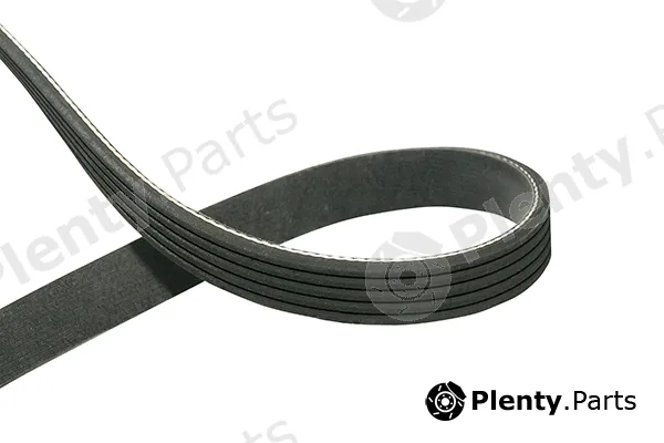 Kavo Parts DMV-7506 — V-Ribbed Belt