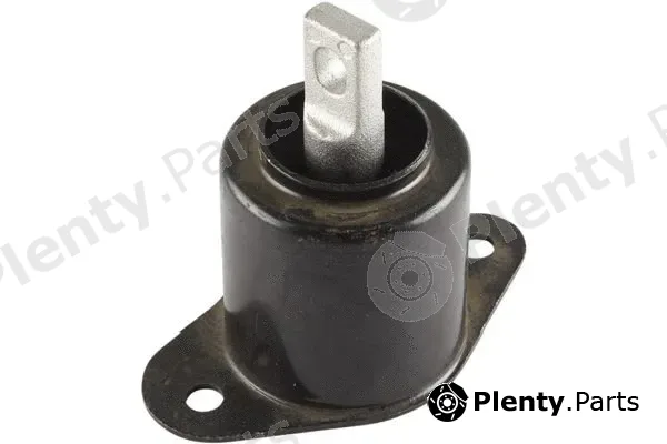Kavo Parts EEM-2004 — Mounting, engine