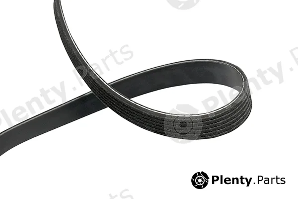 Kavo Parts DMV-8016 — V-Ribbed Belt