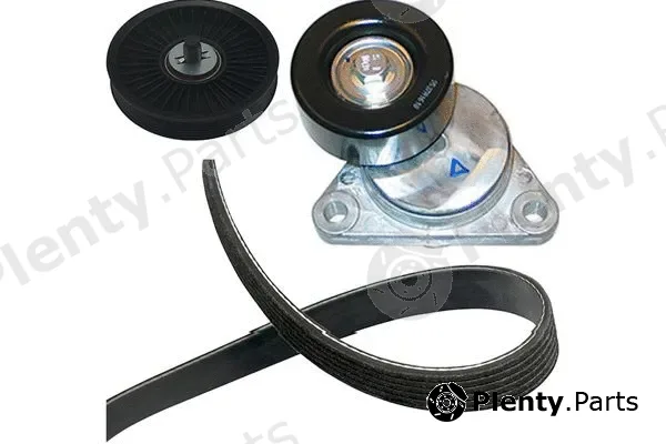Kavo Parts DKM-1001 — V-Belt Set