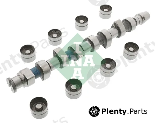 INA 428004830 — Camshaft Kit