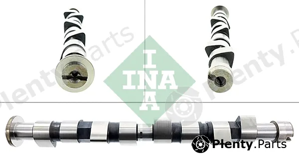 INA 428014910 — Camshaft