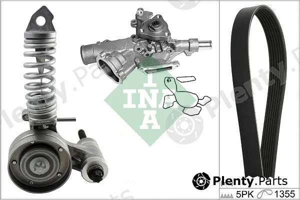 INA 529029730 — Water Pump + V-Ribbed Belt Kit
