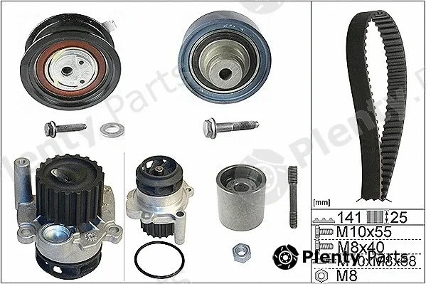 INA 530036132 — Water Pump & Timing Belt Kit