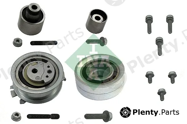INA 530055009 — Pulley Kit, timing belt