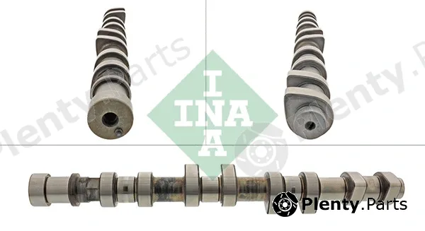 INA 428014610 — Camshaft