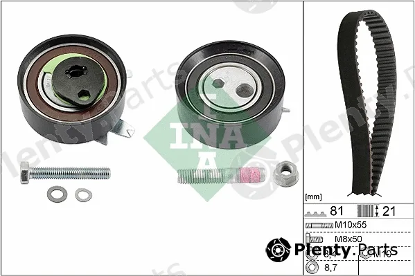 INA 530006210 — Timing Belt Kit