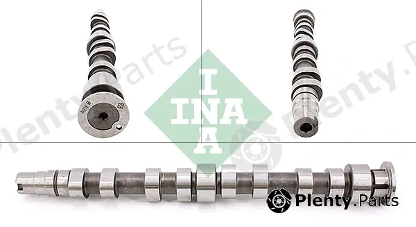 INA 428017310 — Camshaft