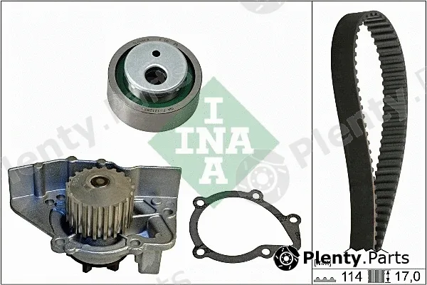 INA 530025830 — Water Pump & Timing Belt Kit