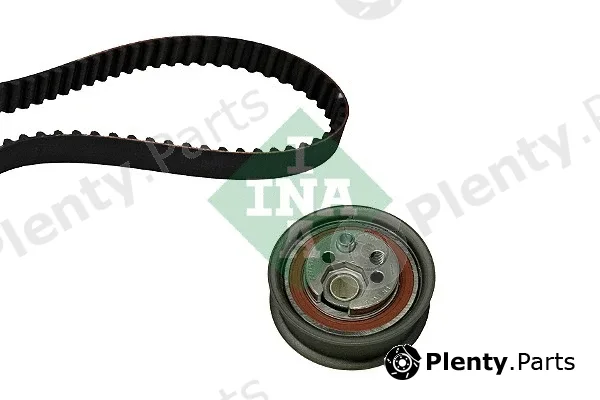 INA 530039210 — Timing Belt Kit