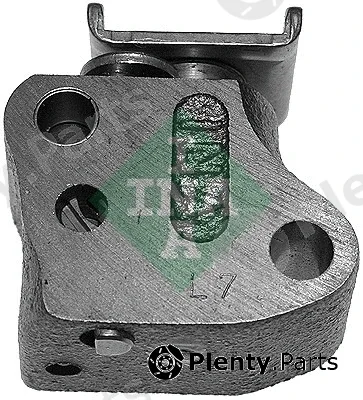 INA 551009110 — Tensioner, timing chain