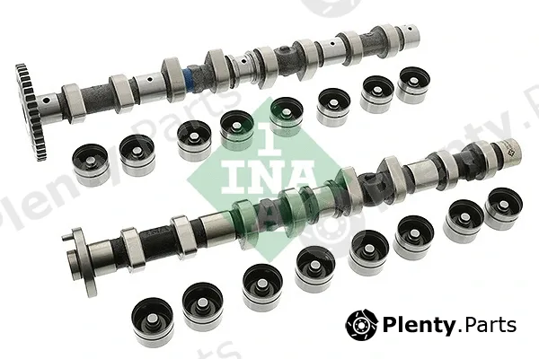 INA 428005430 — Camshaft Kit