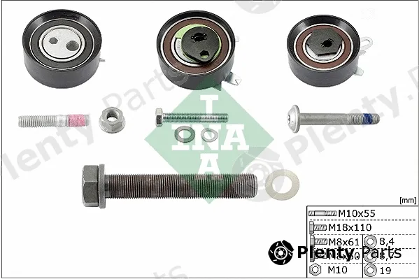 INA 530048409 — Pulley Kit, timing belt