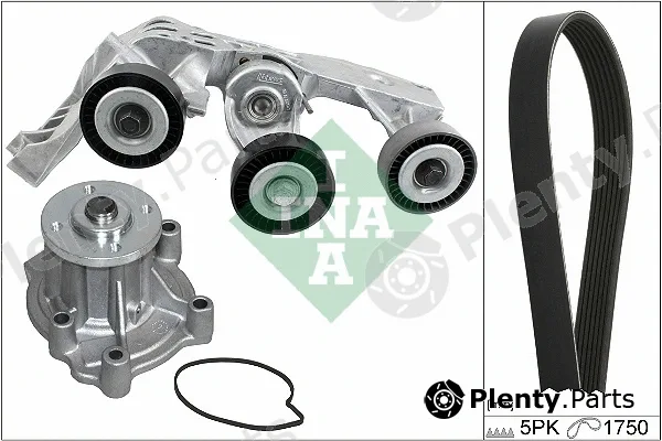 INA 529008131 — Water Pump + V-Ribbed Belt Kit