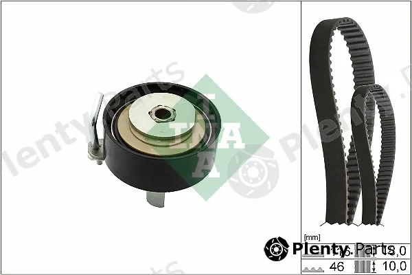 INA 530070110 — Timing Belt Kit
