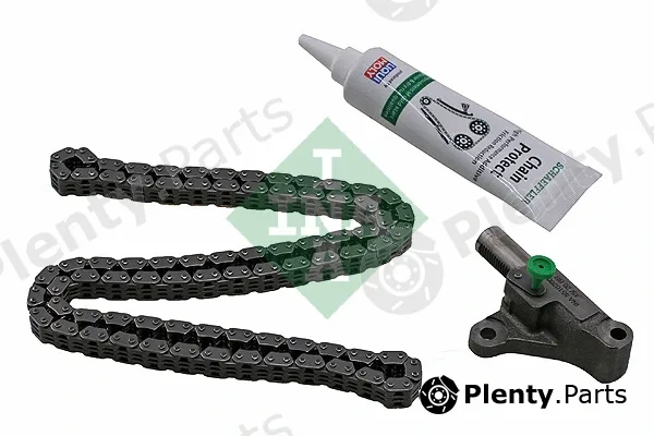 INA 559100110 — Timing Chain Kit
