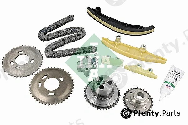 INA 559100030 — Timing Chain Kit