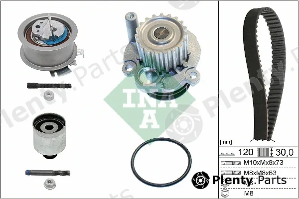 INA 530020132 — Water Pump & Timing Belt Kit