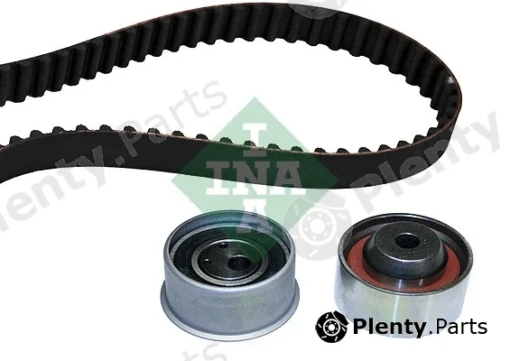 INA 530029310 — Timing Belt Kit