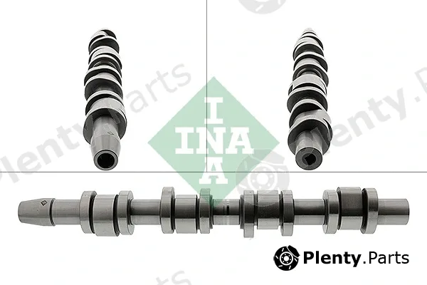 INA 428012310 — Camshaft