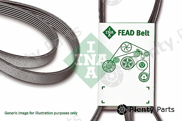 INA FB6PK1653 — V-Ribbed Belt