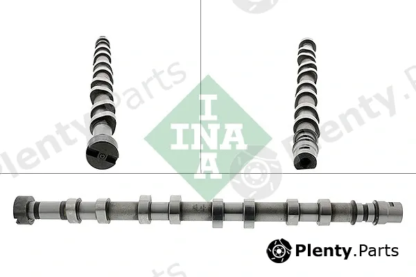 INA 428018610 — Camshaft