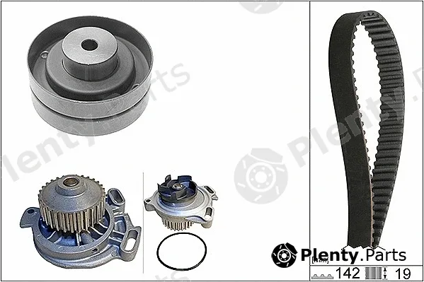 INA 530015630 — Water Pump & Timing Belt Kit