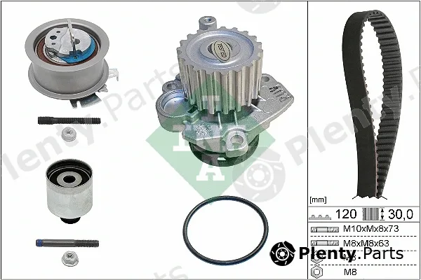 INA 530020133 — Water Pump & Timing Belt Kit