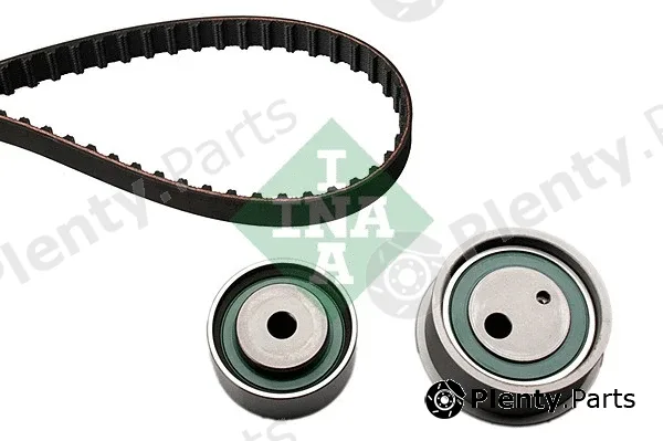 INA 530009410 — Timing Belt Kit