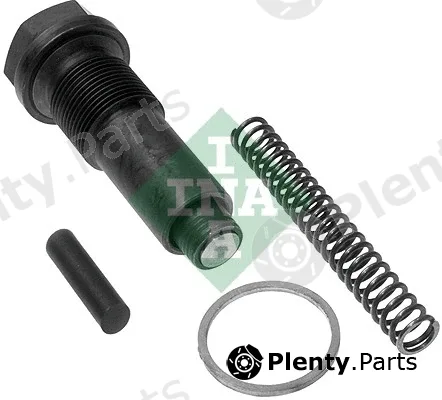 INA 551012210 — Tensioner, timing chain