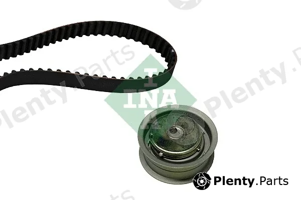 INA 530038910 — Timing Belt Kit